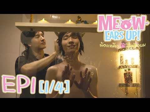 Meow Ears Up น้องเหมียวในห้องผม 好久不见啊喵  | EP1[1/4]