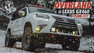 PURE TV: Anthony's Lexus GX460 Walk Around Overland Build / Baja Designs Toyo Tires TE37XT PURE 4x4