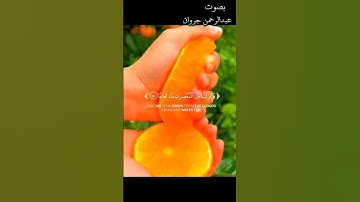 آيات من #سورة#النبأ بصوت #القارئ #عبدالرحمن #جروان تلاوة هادئ🎧مريح للقلب🍂السورة كاملة في قناتي 🎧🍂🎧