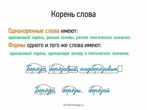 Корень слова (5 класс, видеоурок-презентация)