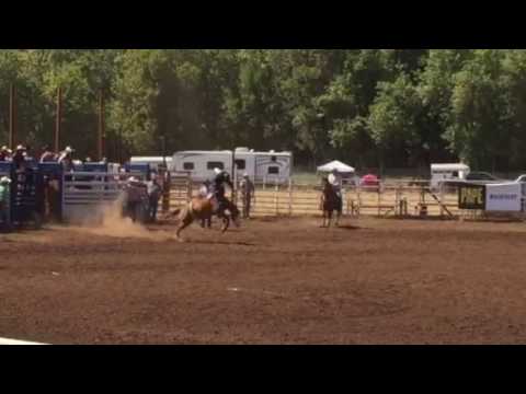 Cottage Grove Bareback Day 2 Youtube