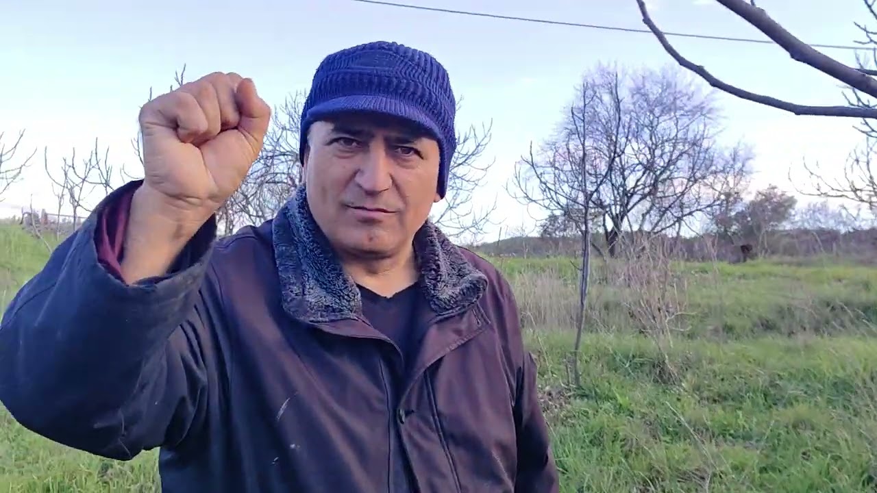 İncir,Zeytin,Armut,Üzüm Bahçesi