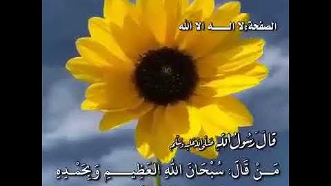 فضل اذكار الصباح والمساء من المسجد النبوي  الشريف