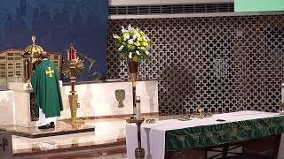 Sunday Mass - 7/19/2026