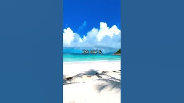 قرآن كريم القارئ عبدالرحمن مسعد سورة (الكوثر)