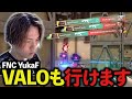 APEX競技勢だけでVALOやってみた結果…【VALO/ヴァロラント/YukaF/Meltstera/ゆきお/satuki/Ftyan/saku/ShunMi/MiaK/hikuman/Daiki】
