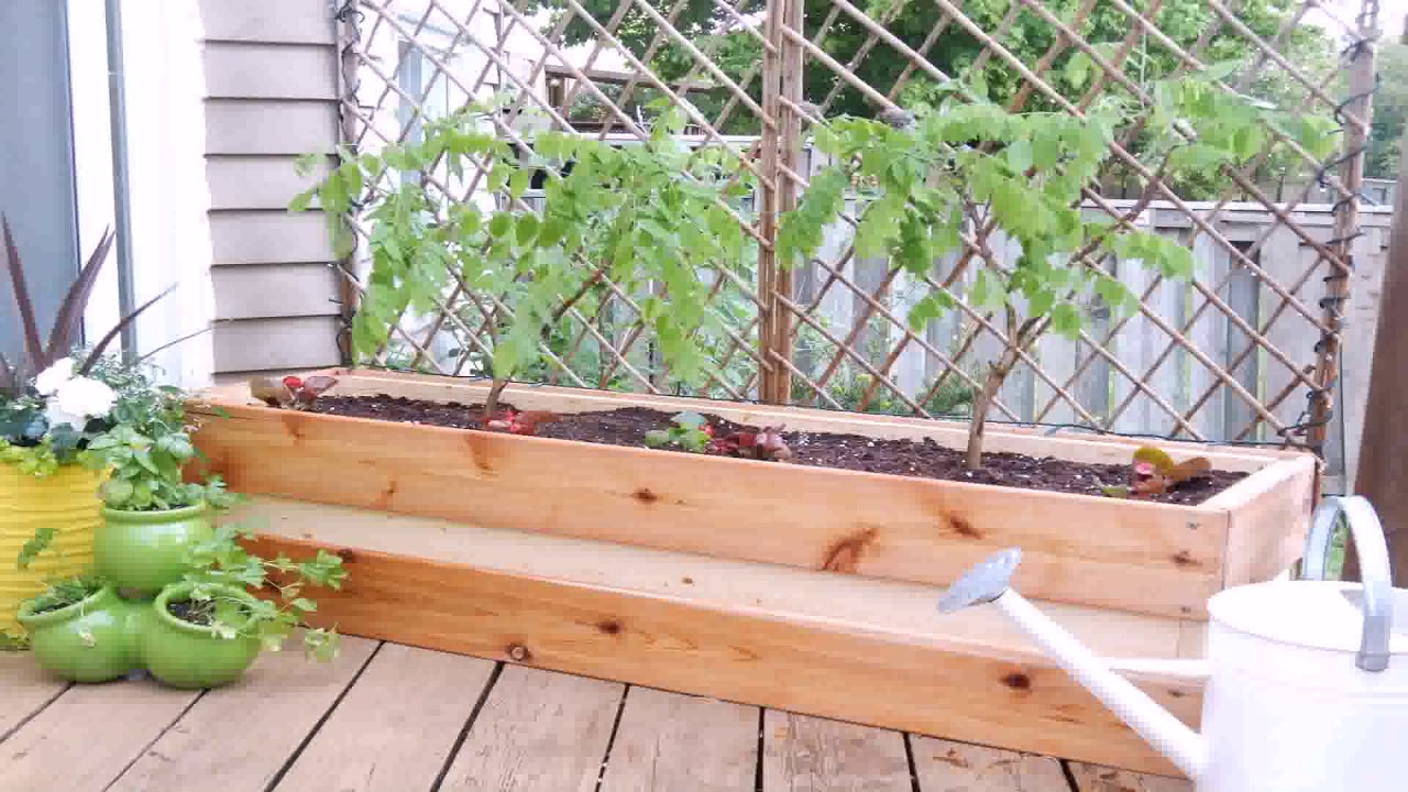 Diy Garden Privacy Screen Ideas - YouTube