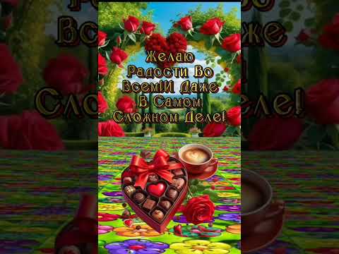 НОВЫЙ ДЕНЬ#НОВОЕ УТРО#НОВЫЕ ВПЕЧАТЛЕНИЯ#ВСЕГО САМОГО ПРЕКРАСНОГО#🥰🌹🥰