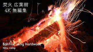 焚火 4K 直火 ファイアピット 広葉樹 道志 Bonfire using Hardwood 2020/09/09