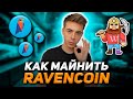 Как Начать Майнить Ravencoin? Лучший способ в 2021!