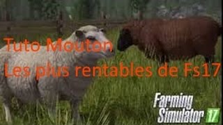 Tutoriel Les moutons les plus rentables des animaux sur Farming Simulator 2017