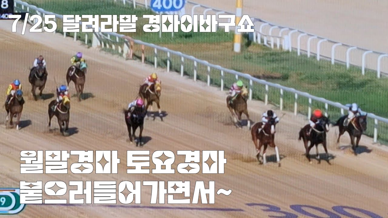 월말경마 토요경마 붙으러들어가면서 이바구쇼