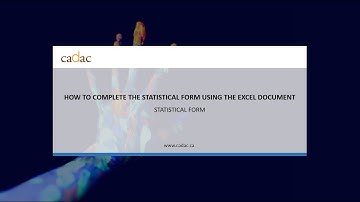 How to complete the statistical form using the Excel document