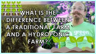 Urban Agriculture & Hydroponics Business (Gr5, L4 from the Green Our Planet Hydroponics Curriculum)