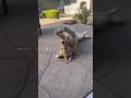 I Love You Ball. by RxCKSTxR Comedy Voiceover!