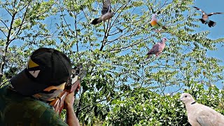 JACKPOT NA NAMAN SA DATING TAMBANGAN! | BIRD HUNTING | X4 RAF HUNTER EP56 | #hunter #hunting #fyp screenshot 5