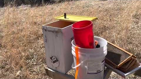 Trouble in the bee yard /added swarm trap. Part 3 of 5 #beekeeping #swarm #trap
