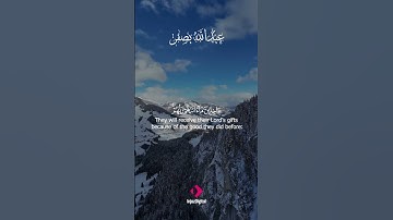 لحظات من الخشوع لا تُقدّر بثمن... تلاوة ستأخذك إلى عالم آخر من الطمأنينة