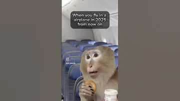 FLYING AIRPLANES IN 2025 Fly Airplane Plane Entertainment 
