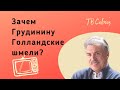 Зачем Грудинину Голландские шмели?