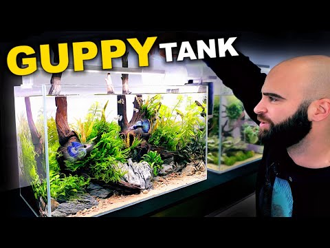 Medium Tech & Budget Guppy Nature Aquarium (Full Tutorial)