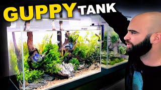 Medium Tech Budget Guppy Nature Aquarium Full Tutorial