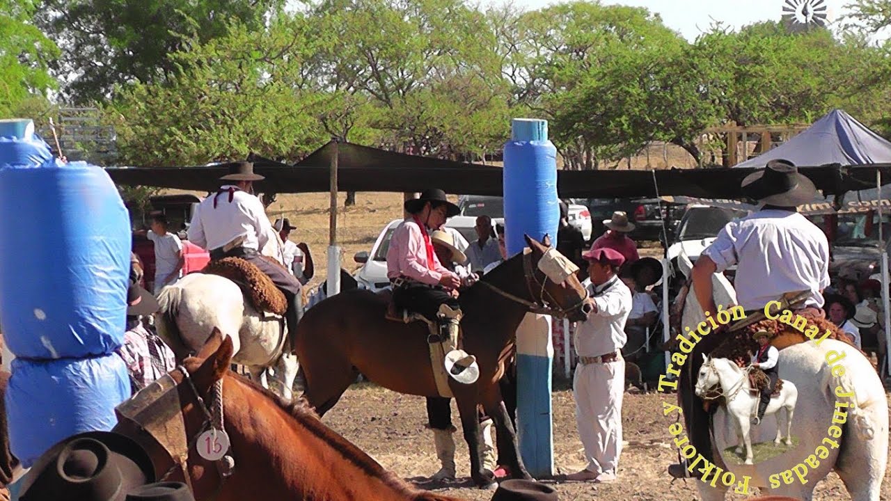 Fiesta De La Amistadcaballos Cowboy horse videos YouTube