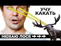 4 ДНЯ В ГАМАКЕ в Карелии. ОНИ Говорили, что моя спина развалится, НО...
