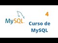 Curso de MySQL: Carga de registros a una tabla y su recuperación (insert into - select)