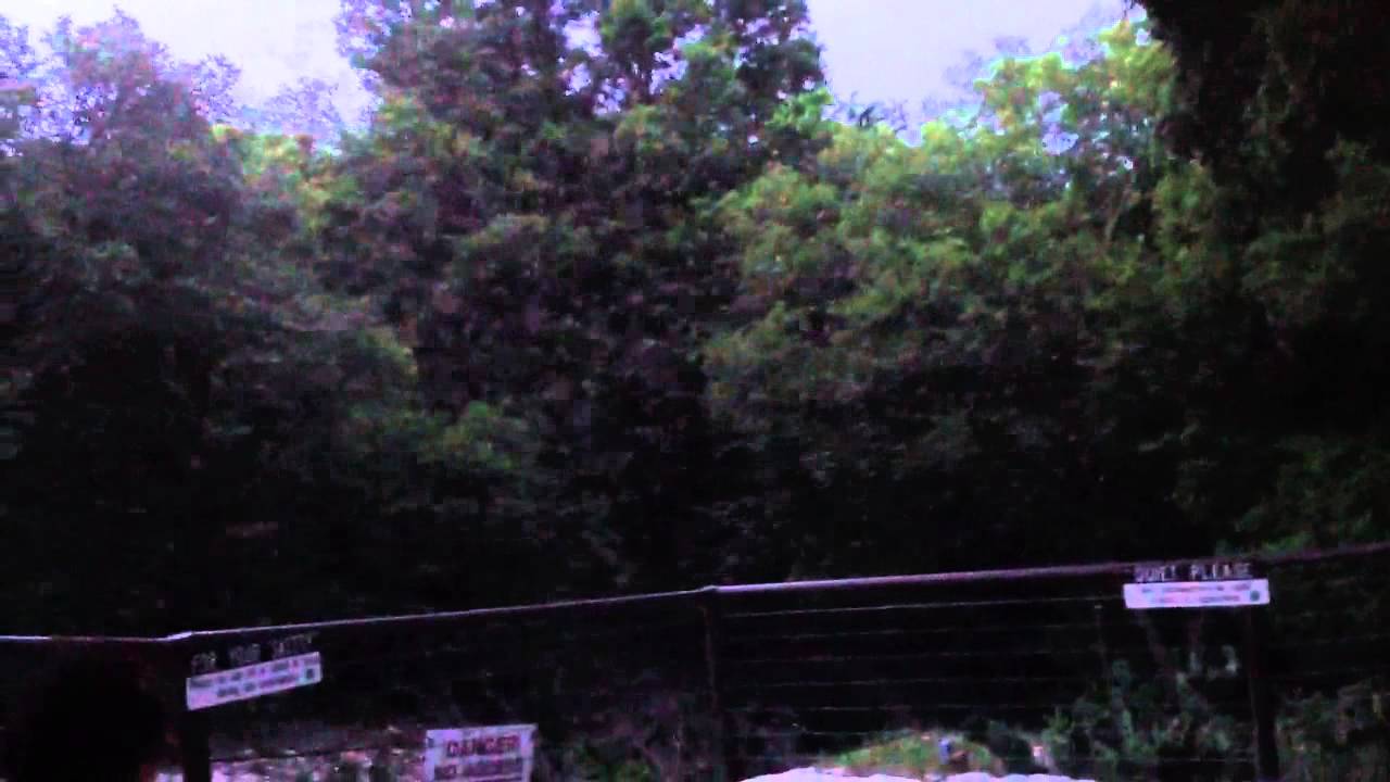 Fredericksburg Old Tunnel Bat cave YouTube