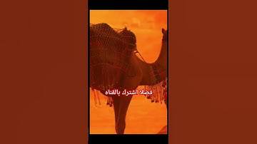 تلاوه خاشعه .. افلا ينظرون إلى الإبل كيف خلقت  #القرآن_الكريم #القرآن #قرآن