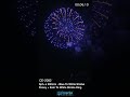 CE-2082 Ø200mm Blue to White Strobe Peony and Kamuro to White Strobe Ring