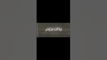 سورة الاسراء الآية (82-84) - ياسر الدوسري #القرآن_الكريم#تلاوة_خاشعة #اجر_لي_ولك