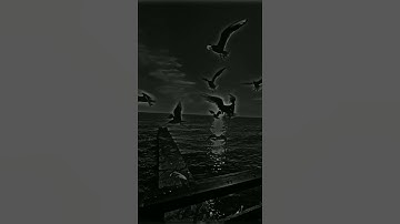 وأذن في الناس بالحج يأتوك رجالا || حالات واتس اب قران كريم 🌿🌟