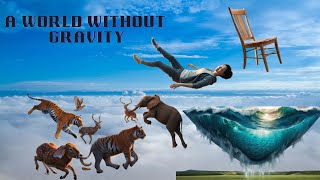 The Surprising Truth About Living in a World Without Gravity || What If We Lost Gravity