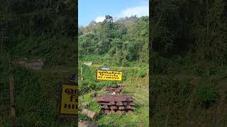 Hill grove, Tamilnadu