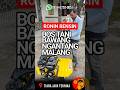 CAK YANTO, PETANI BAWANG MERAH DARI NGANTANG, MALANG, PILIH CULTIVATOR RONIN 900 DG RP 5,5 JUTA