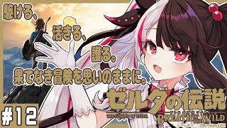 【ゼルダの伝説 ブレス オブ ザ ワイルド】1２ 今日はマスターソードをつよくするか？　駆ける、活きる、護る。果てなき冒険を思いのままに。【夜見れな/にじさんじ】