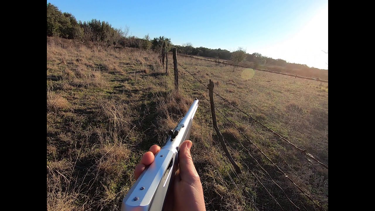 44 mag lever Henry all weather Wild hog feral pig hunt charge