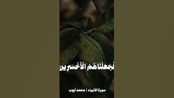 Quran | تلاوات قران كريم خاشعة تهز القلوب | أجمل أصوات القراء #اكسبلور  #قرآن #تلاوة_خاشعة #الله