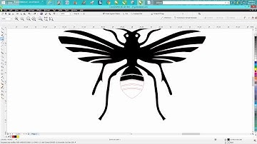 Corel Draw Tips & Tricks Clipart clean up water mark Part 2