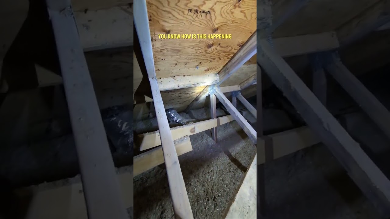 Water leakage and mold growth. Toronto home inspection #torontohomes #torontorealestate