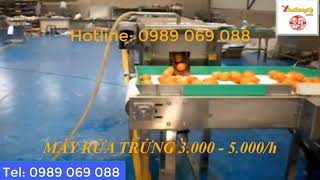 máy rửa trứng 3 000 5 000 1h