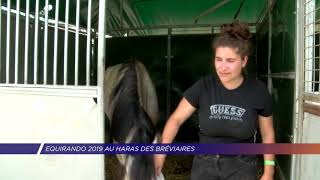 Yvelines | Week-festif au Haras des Bréviaires lors de l’Equirando 2019