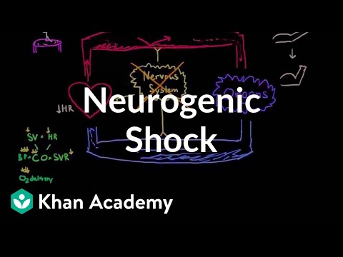 Neurogenic shock | Circulatory System and Disease | NCLEX-RN | Khan Academy