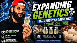 Expanding Mushroom Genetics with Midwest Grow Kits Liquid Culture! 🧫🍄