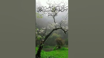 تلاوة خاشعة جدا لي اية الكرسي