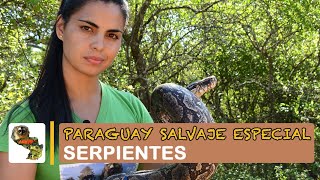 Paraguay Salvaje Especial: Serpientes