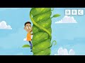 Jack and the beanstalk  musical storyland  cbeebies