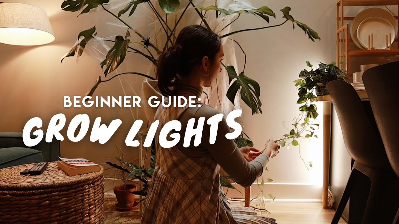 how to shop for grow lights grow lights EXPLAINED for beginners! 💡
